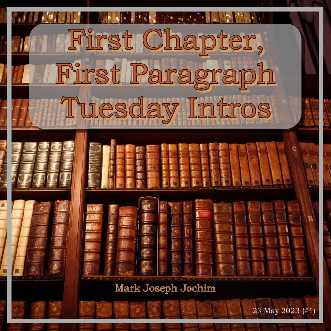 First Chapter, First Paragraph: Tuesday Intros #2